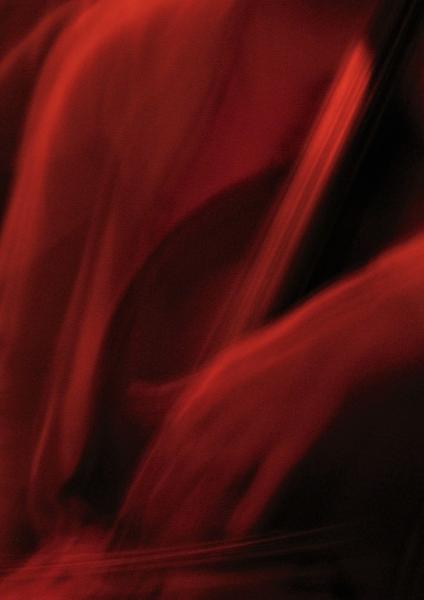 12 Forgotten Cellist2 @ sic 07.jpg